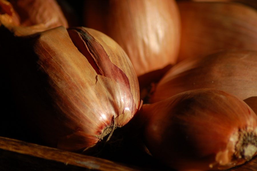 Échalote (500g)