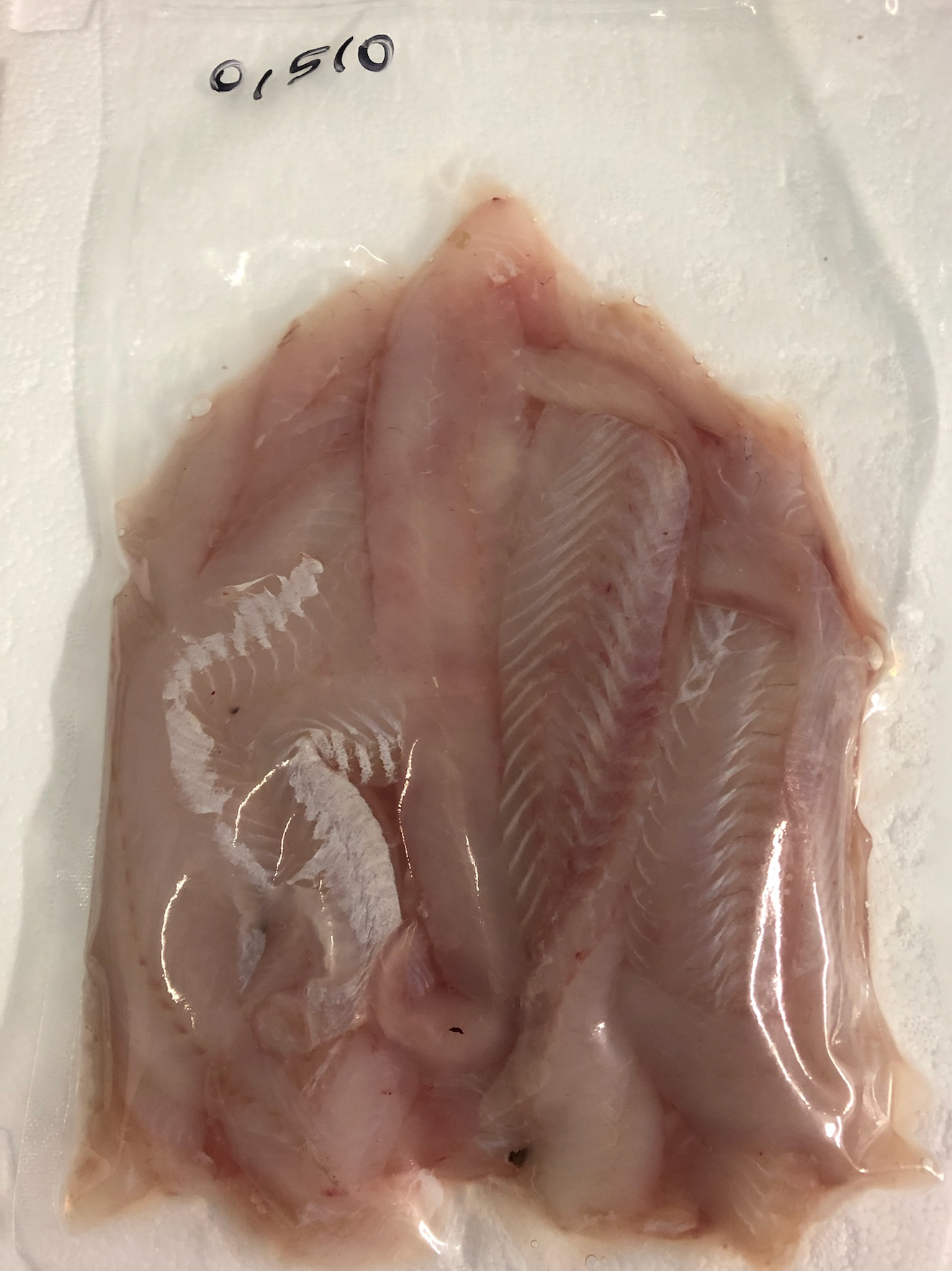 Filets Merlan sans peau (500g)