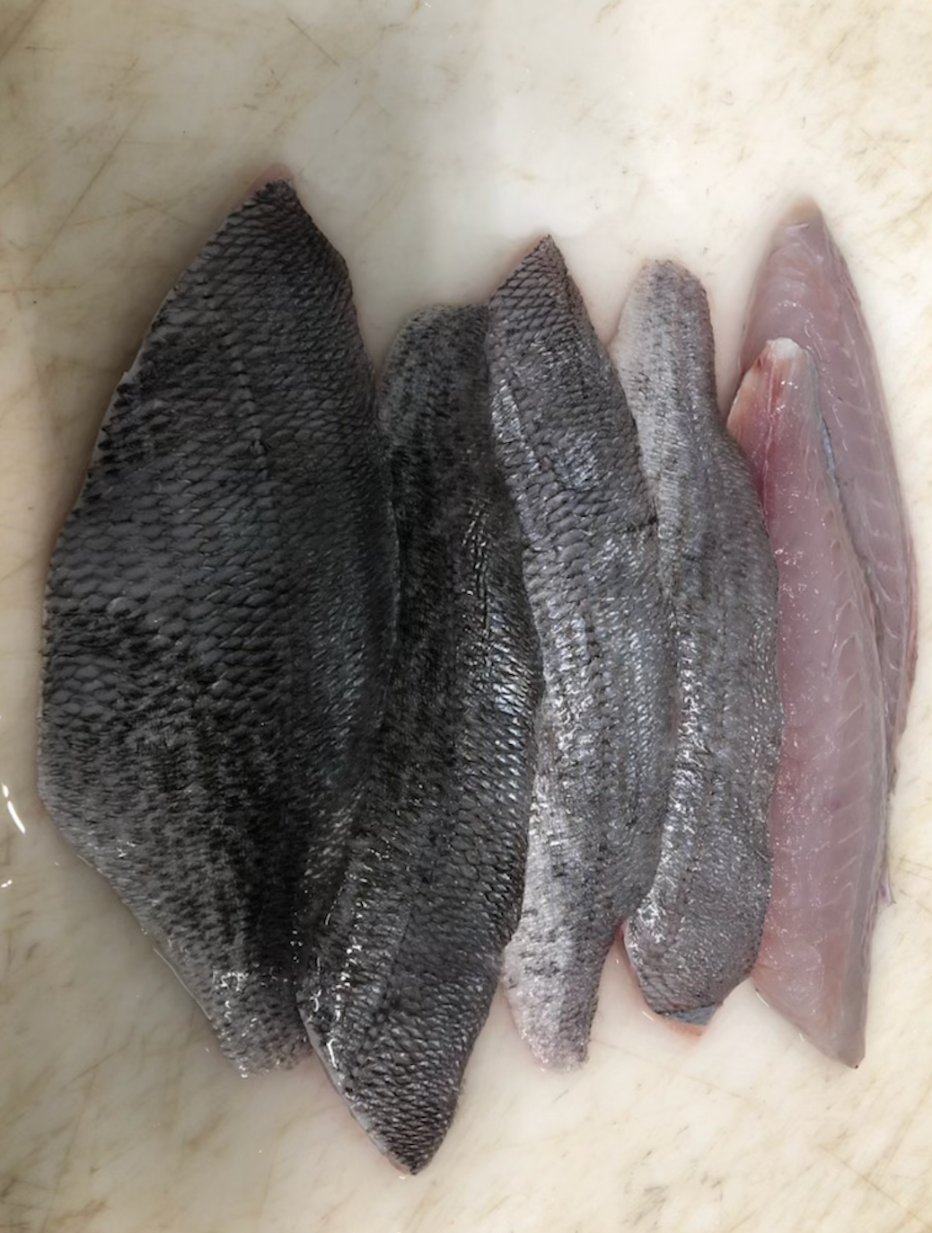 Filets de Dorades Grises (par 4 - env 300g)