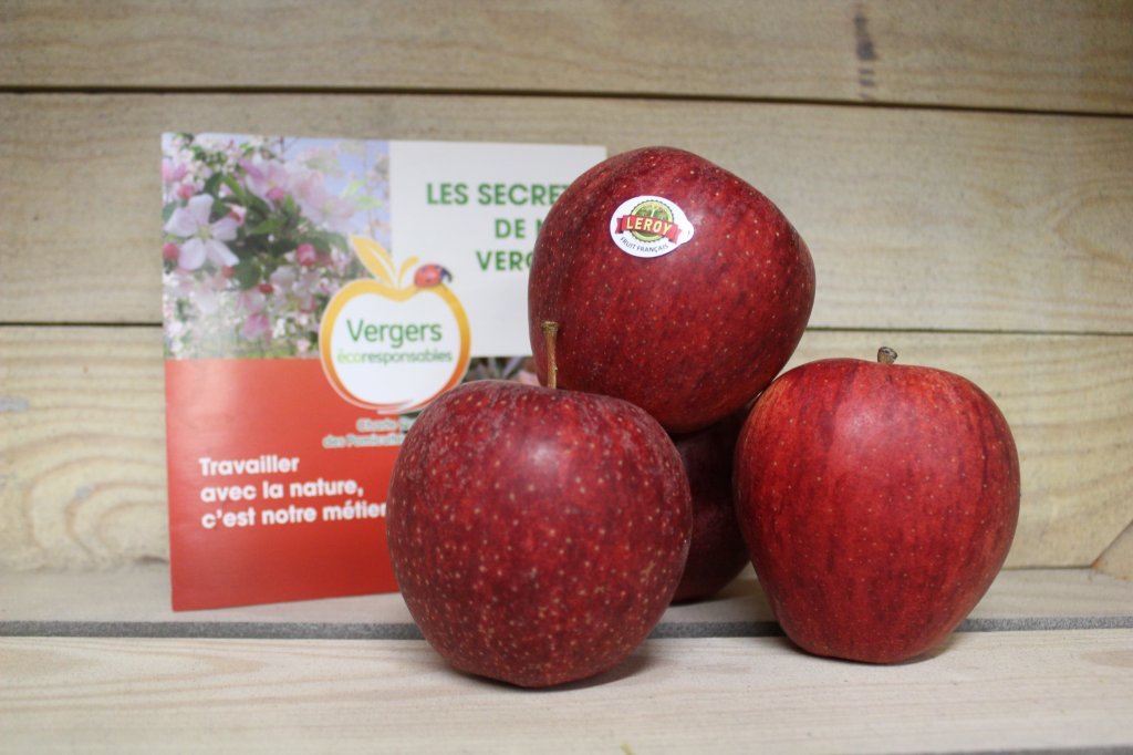 Pommes - Gala (1kg)