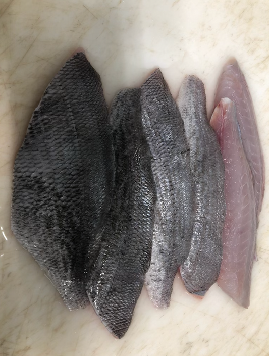 Filets de Dorades Grises (par 4 - env 300g)
