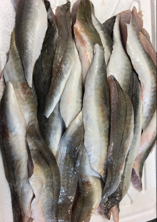 Filets de Rouget Grondin Perlon (env 6 filets - env 300g)