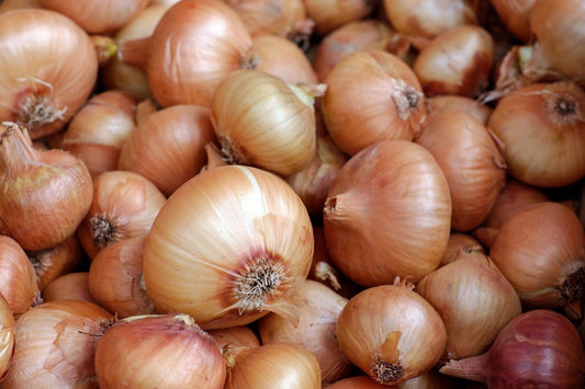 Oignon jaune (1kg)