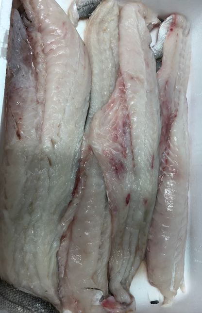 Pavés de Merlu avec peau (par 2 - env 150g/pièce)