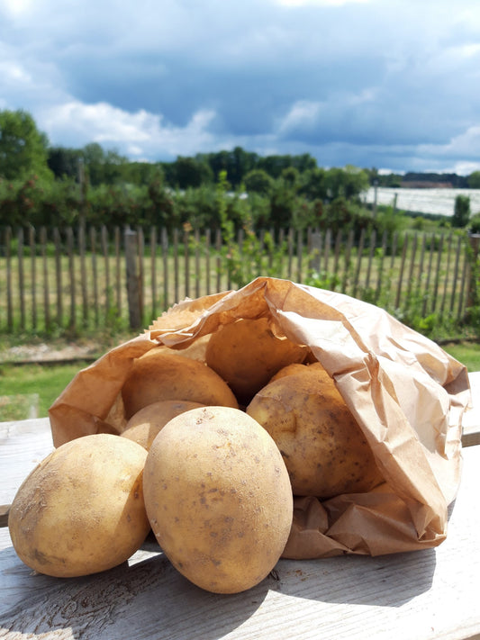 Pomme de terre (1kg)