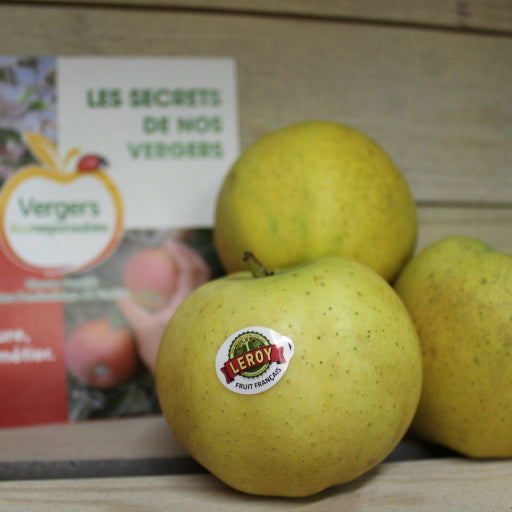 Pommes - Belchard Chanceler (1kg)