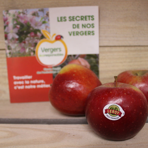 Pommes - Choupette (1kg) BIO