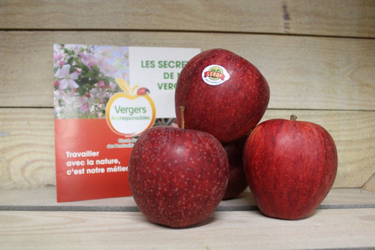 Pommes - Gala (1kg)