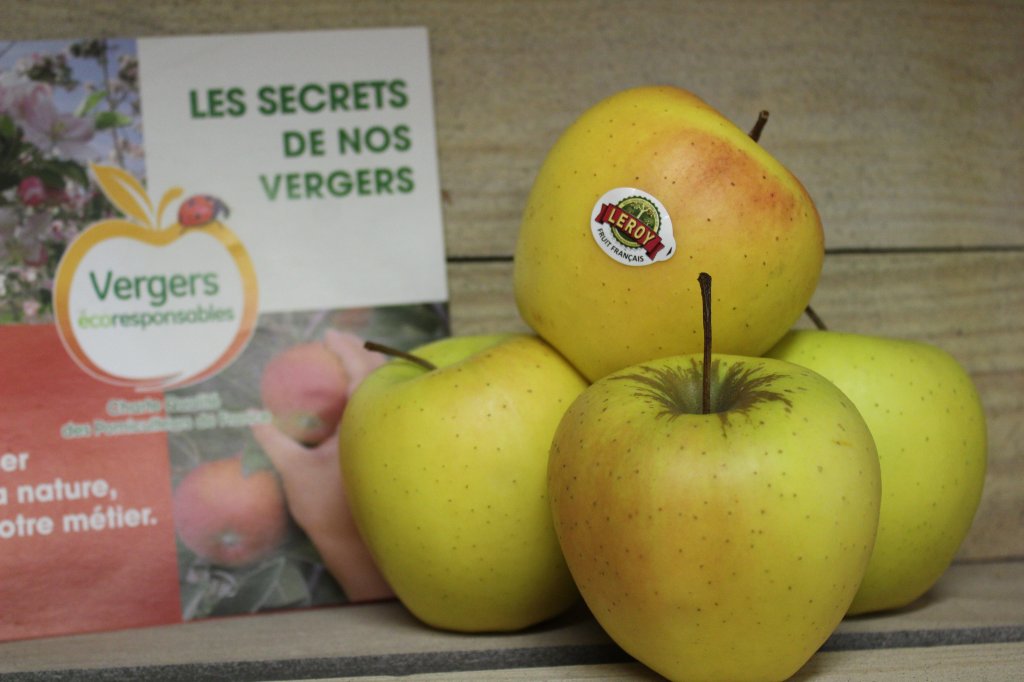 Pommes - Golden (1kg)