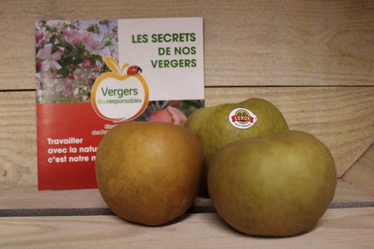Pommes - Reinette Grise du Canada (1kg)