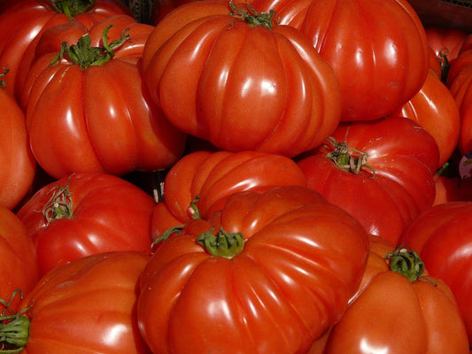 Tomate pleine terre d'antan (1kg)